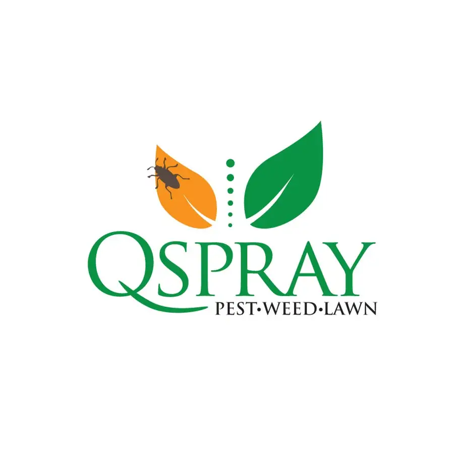 two leaves, one orange with a bug on it and one green, with the text “QSpray Pest Weed Lawn”