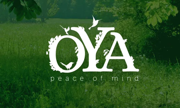 Nature logo with birds