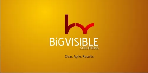 BigVisible Solutions