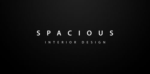 Spacious Interior Design